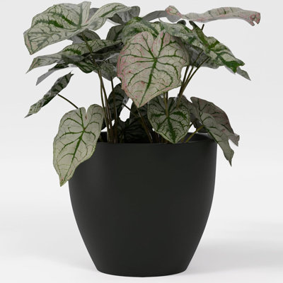 Greenline Fiberglass Lucy Large Indoor/Outdoor Round Planter -