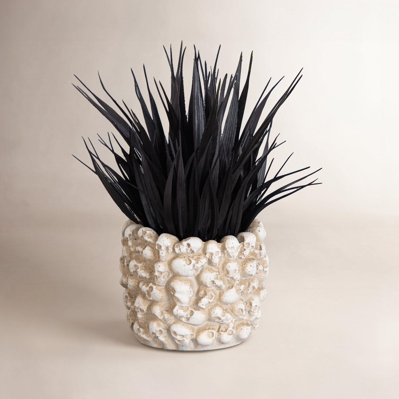 9in. Artificial Halloween Black Succulent Plant in Gothic Skull Planter