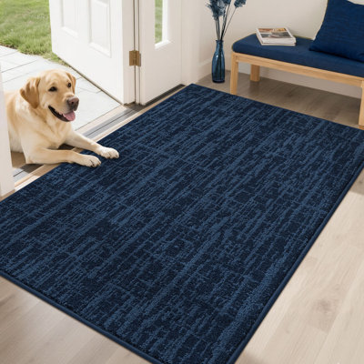 Non-Slip Absorbent Door Mat with TPR Backing – Soft, Washable, Low-Profile Doormat for Indoor Entrance, Perfect for Pets & Family