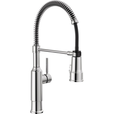 Robinet d'évier de cuisine Theodora Pro