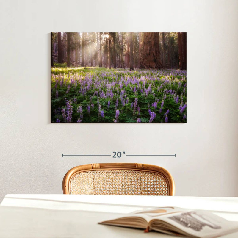 Fleurs de lupin Harnek Forest
