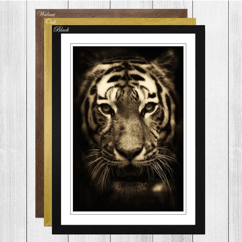 Tiger 3 Framed Photographic - Framed Print, Black