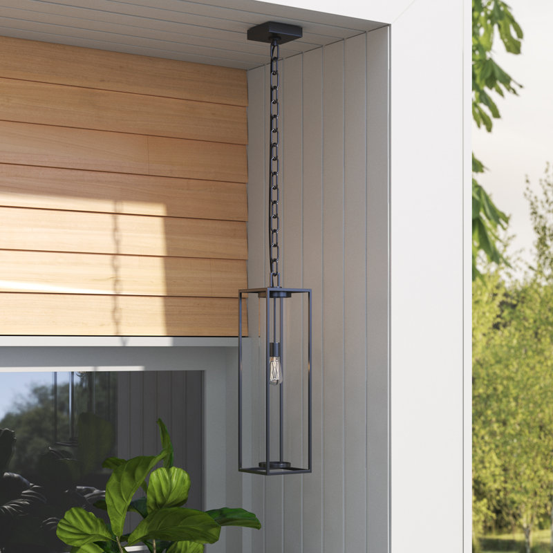 Lanterne suspendue d'extérieur à 1 lumière Belote 26,75 po Belote, Noir