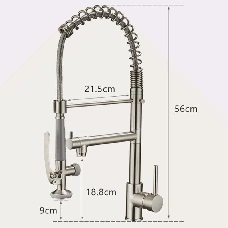 Robinet de cuisine commercial avec douchette extractible, robinet d'évier de cuisine à poignée simple