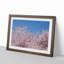 Top of a Pink Cherry Blossom Tree - Picture Frame Painting Print-55611771-55611772