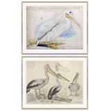 Sea Birds Giclee Print by Soicher Marin Archives