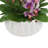 Purple Orchids Arranged in Decorative Ceramic Pot-523516875
