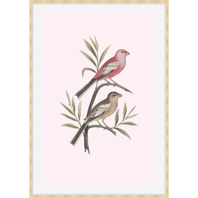 Nesting Navigators Pink 4 Print
