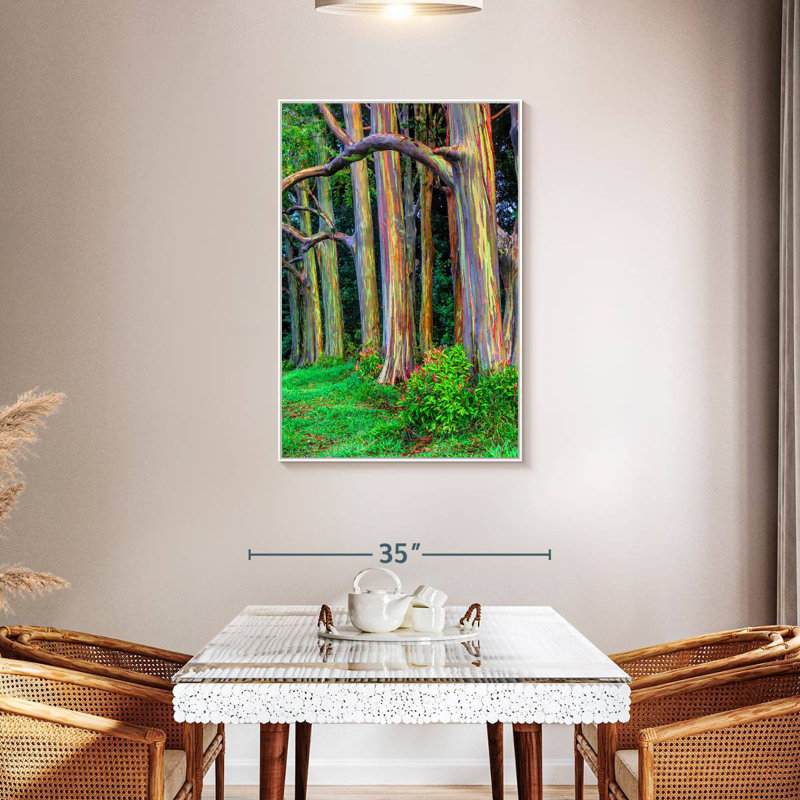 Colorful Eucalyptus Trees, Floating Frame White, 29" x 43"