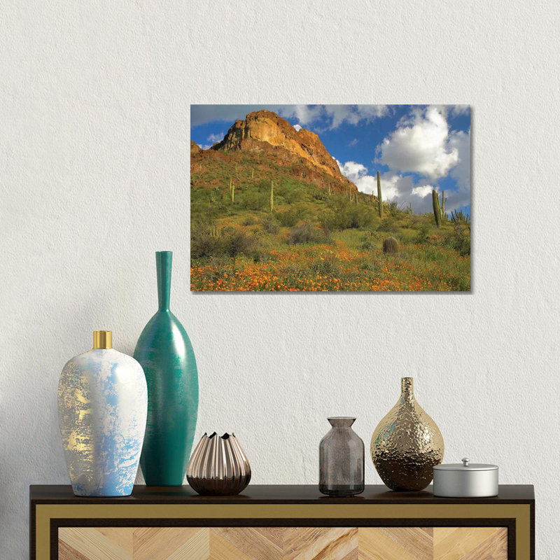 California Poppy And Saguaro Cacti, Organ Pipe Cactus National Monument, Arizona II 1 Piece Wall Art on Canvas, Canvas
