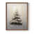 Noyer