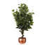 Faux Tree in Metal Planter-101685158-101685160