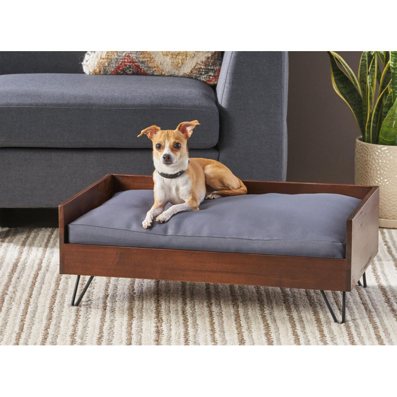 Petit lit pour chien Modern Modern