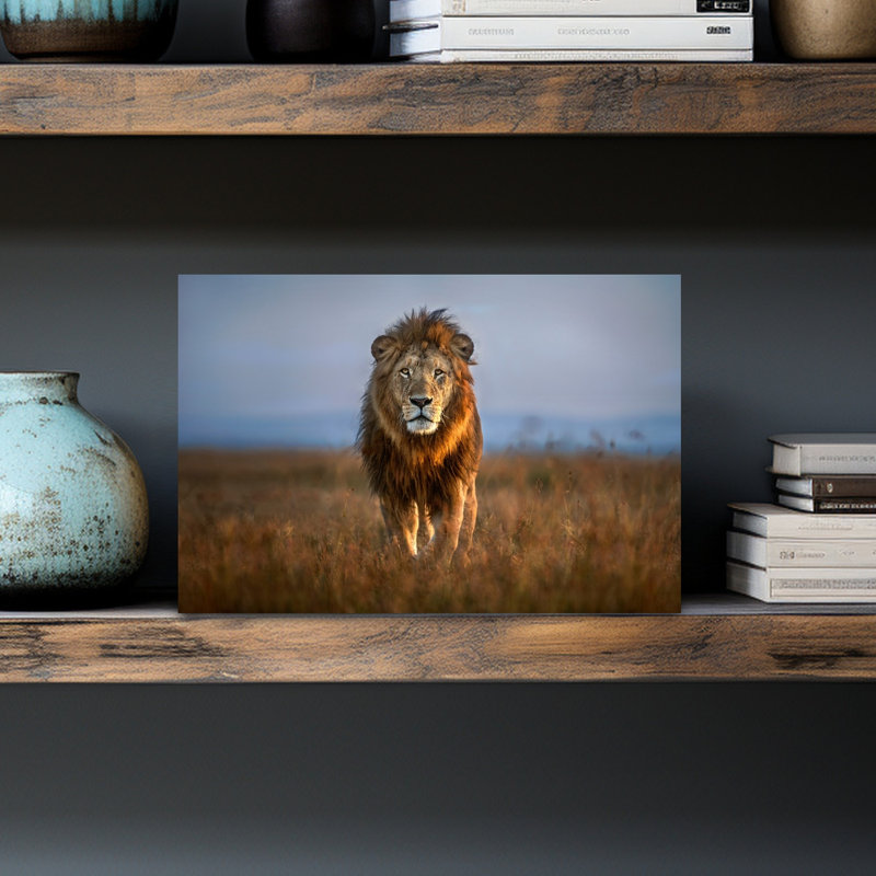 Print, 30.48cm H x 45.72cm W
