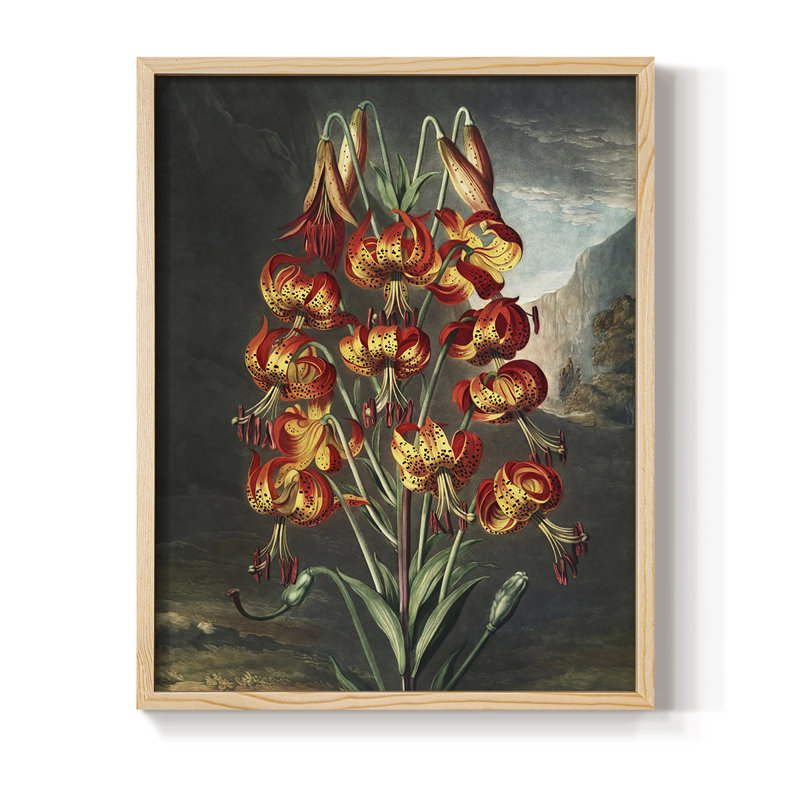 Temple of Flora III Framed Print - Solid Wood, 11" H x 9" W