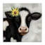 Vache avec marguerite jaune, art mural par Elizabeth Tyndall-2018946341