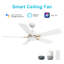 Olinda 52'' Smart Ceiling Fan with Remote, Light Kit Included,Works with Google Assistant and Amazon Alexa,Siri Shortcut.-653135147-653135145