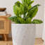 Pot de fleurs en céramique, jardinière moderne pour patio, jardin, rebord de fenêtre - blanc