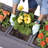 Lakewood Raised Planter Box