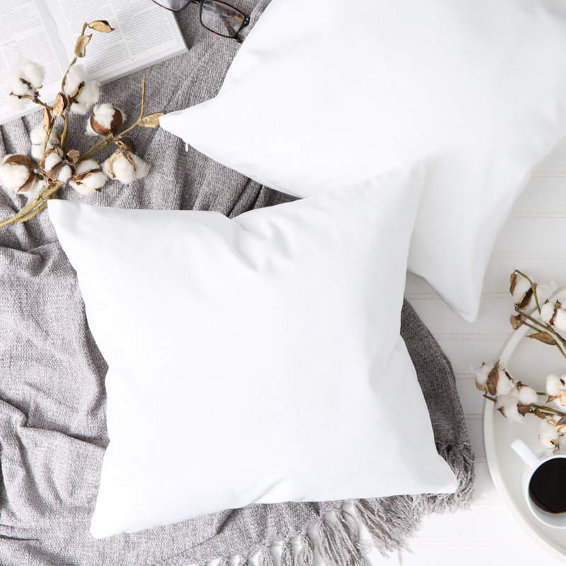 Ensemble de 2 coussins décoratifs, Blanc / Blanc