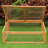 39.3" W x 23.6" D Cold Frame Greenhouse