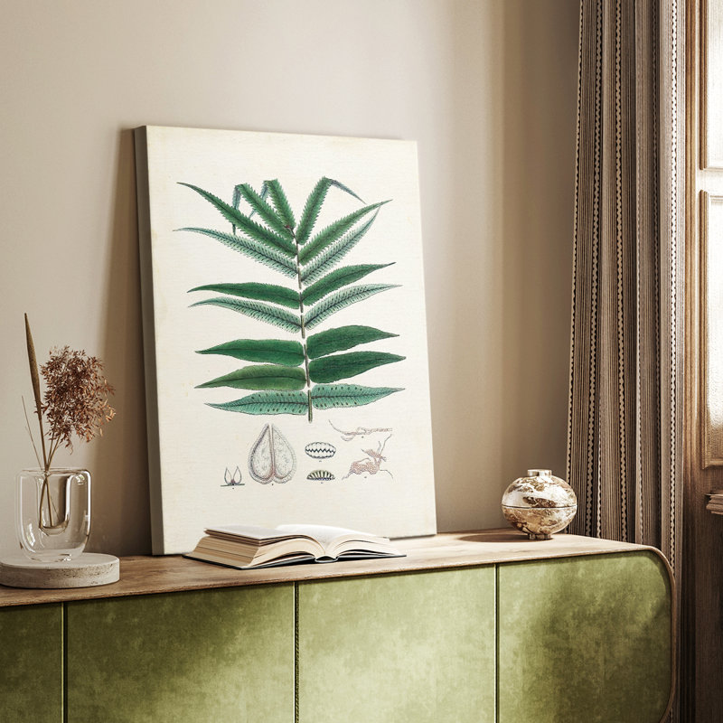 Collectionné fougères ix - galerie sur mesure, H 12 po x l 8 po