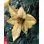 6' H Lighted Artificial Christmas Tree