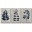 Ensemble de 3 pièces encadrées sur toile, fleurs pressées bleu marine-97709490-97709489