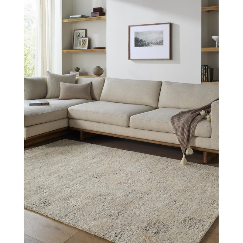 Tapis fait à la main Bratcher, Rectangle 6 pi x 9 pi, Tan