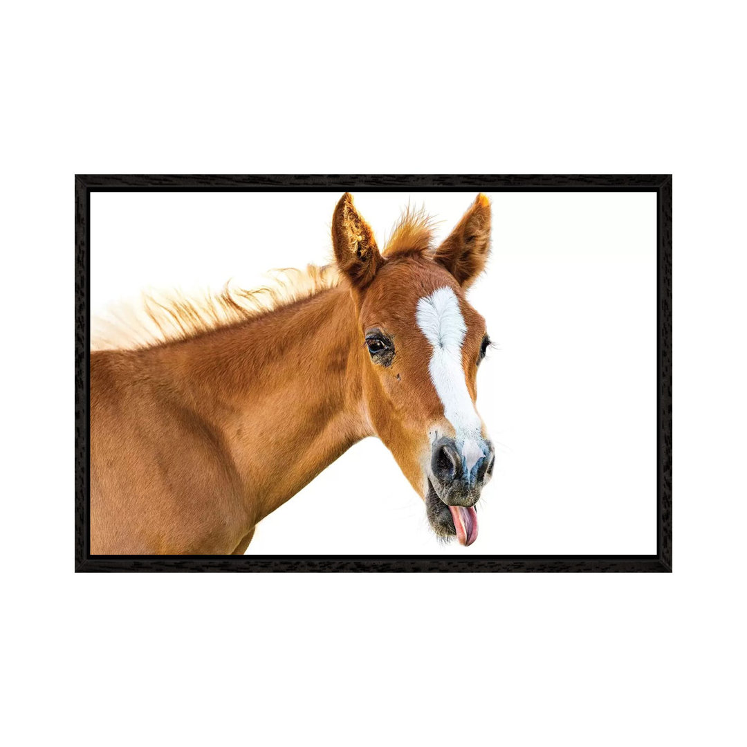 Funny Baby Horse Sticking Tongue Out by Susan Richey - Gallery-Wrapped Canvas Giclée on Canvas