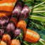 Tapisserie murale légumes carotte-133636460