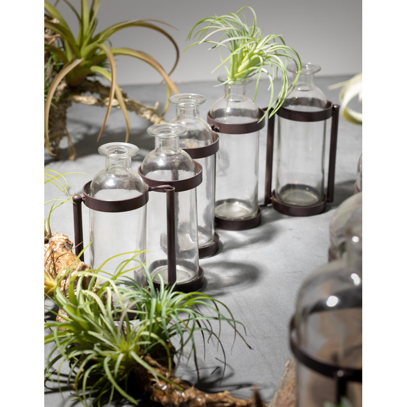 Marvin Glass Decorative Bottle