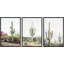 Cactus désert "Southwestern Green Saguaro-91875148-91875145