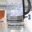Bouilloire en verre Hamilton Beach®