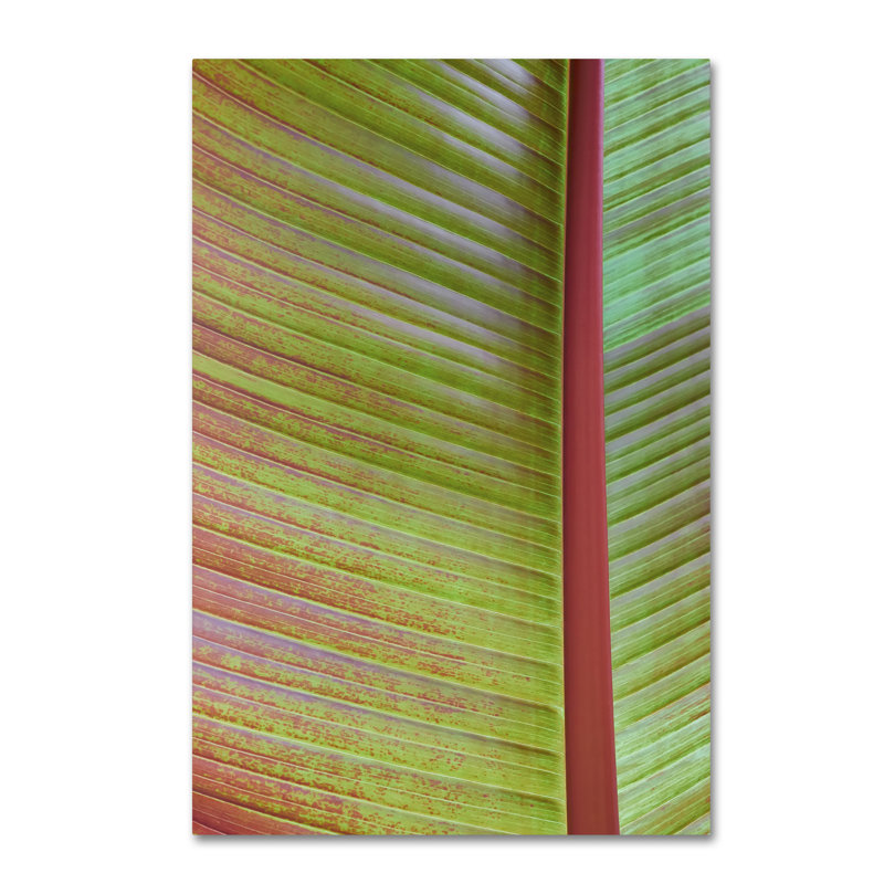 « leaf texture vi », reproduction de photo sur toile tendue, H 47 po x l 30 po x P 2 po