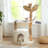 Cat Condos & Cat Trees,Cat Bed