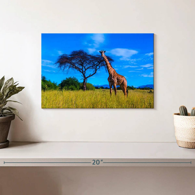 Girafe du parc national Brampt Ruaha, H 8 po x l 12 po