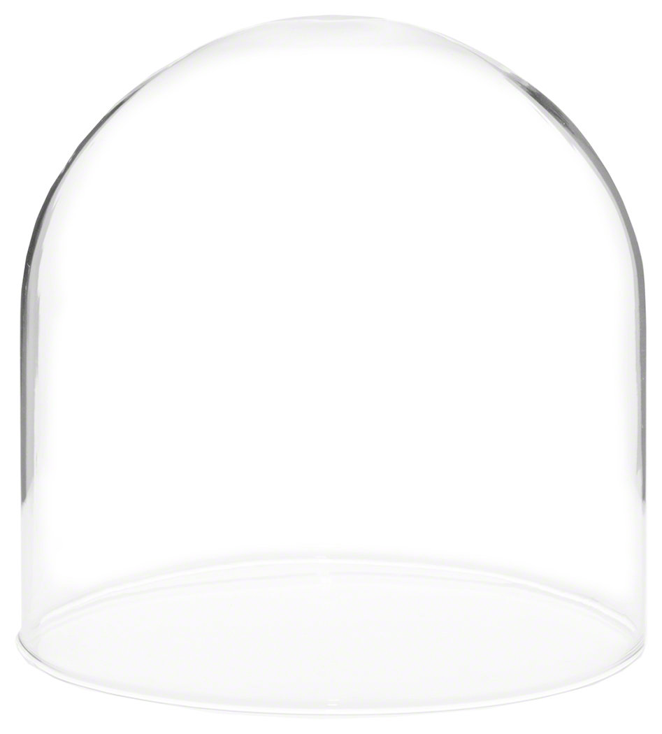 Latitude Run® Jenett Display Dome Cloche | Wayfair