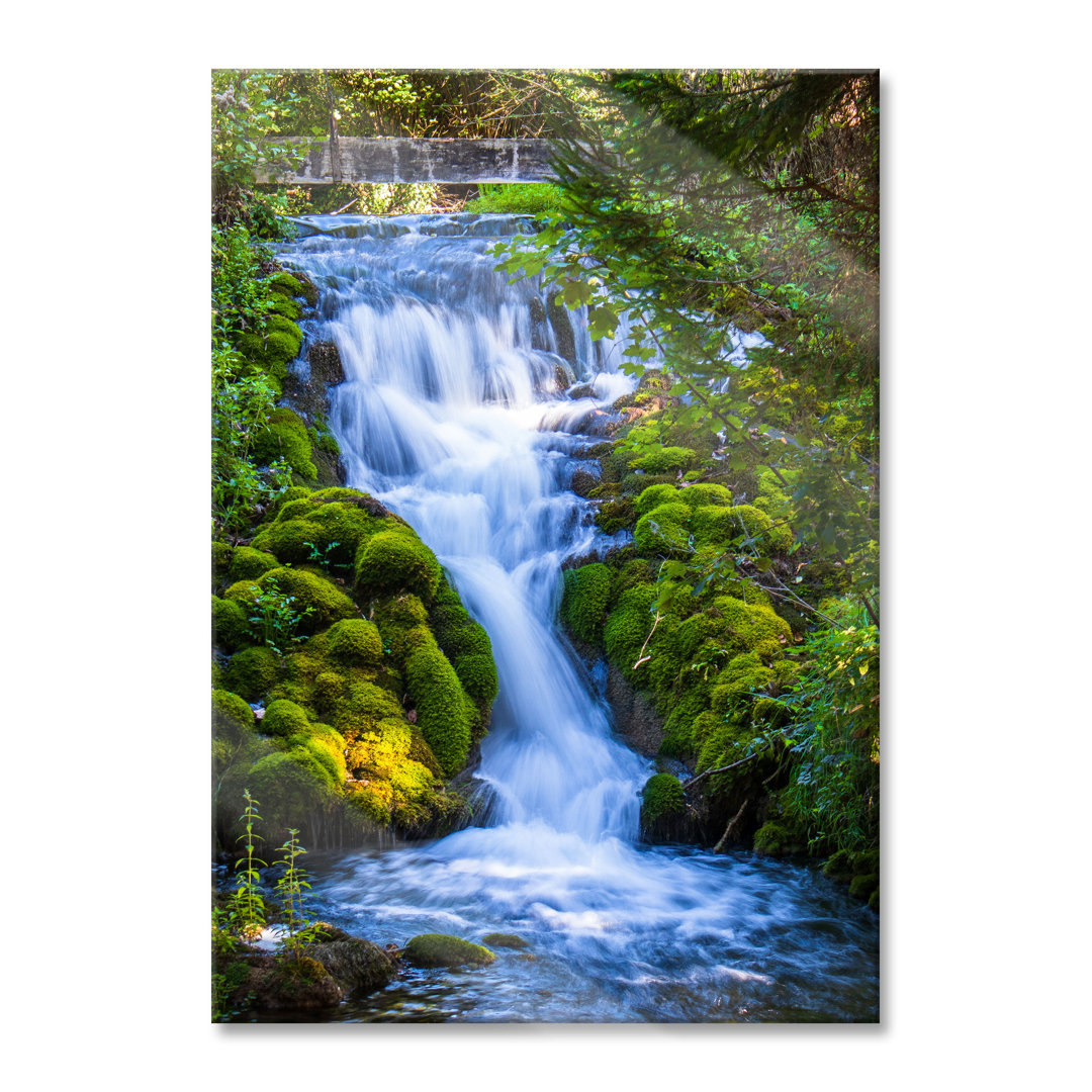 Glasbild-Wasserfall im Grünen Wald