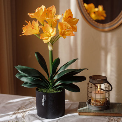 Simulations de décorations florales pour le salon