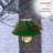 Alpine Solar LED Lantern-70731677