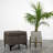 Reba Upholstered Storage Ottoman-1712756504