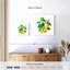Yarlin - branche de citron-111881273