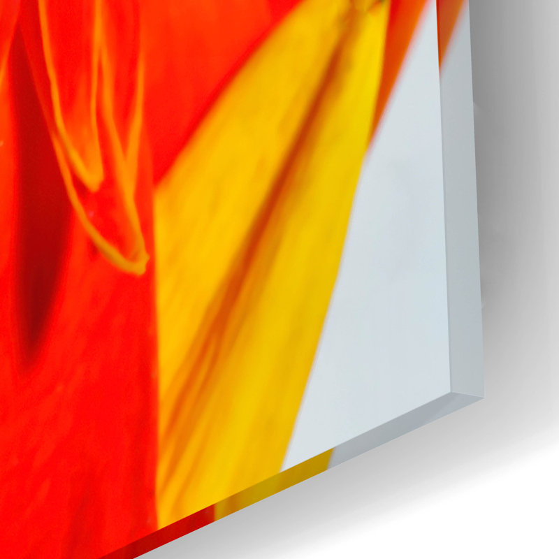 " Last Bloom " by Pamela Plummer, 16" H x 12" W x 0.13" D