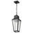Neslisah - 1 Light Hanging Lantern - Matte Black with Clear Seeded Glass