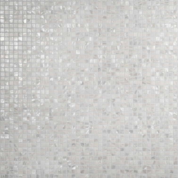 Conchella 0.75" x 0.75" Seashell Mosaic Tile