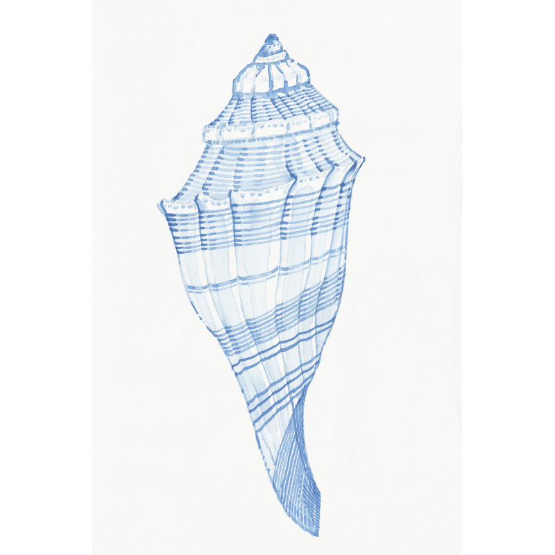 Blue Shell II by Tim OToole - Wrapped Canvas Print, 30cm H x 20cm W x 3.8cm D