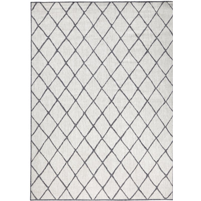 Malaga Flatweave Light Grey Rug