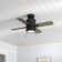 42" Beck 4 - Blade Standard Ceiling Fan with Pull Chain and Light Kit Included