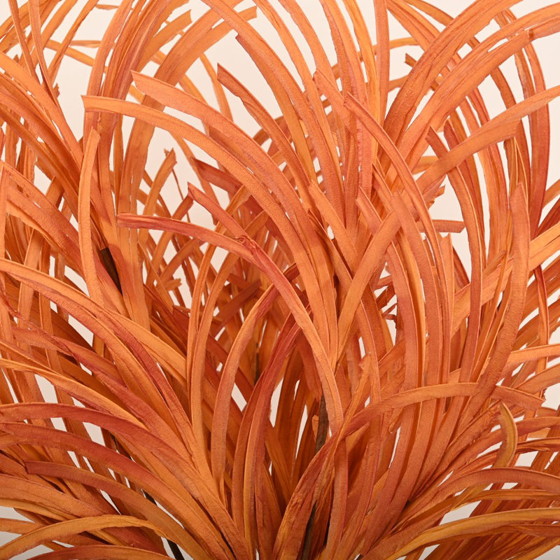 Herbe sauvage Schmitt